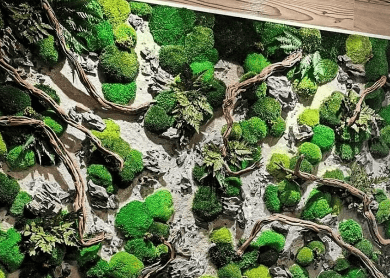 Preserved Moss