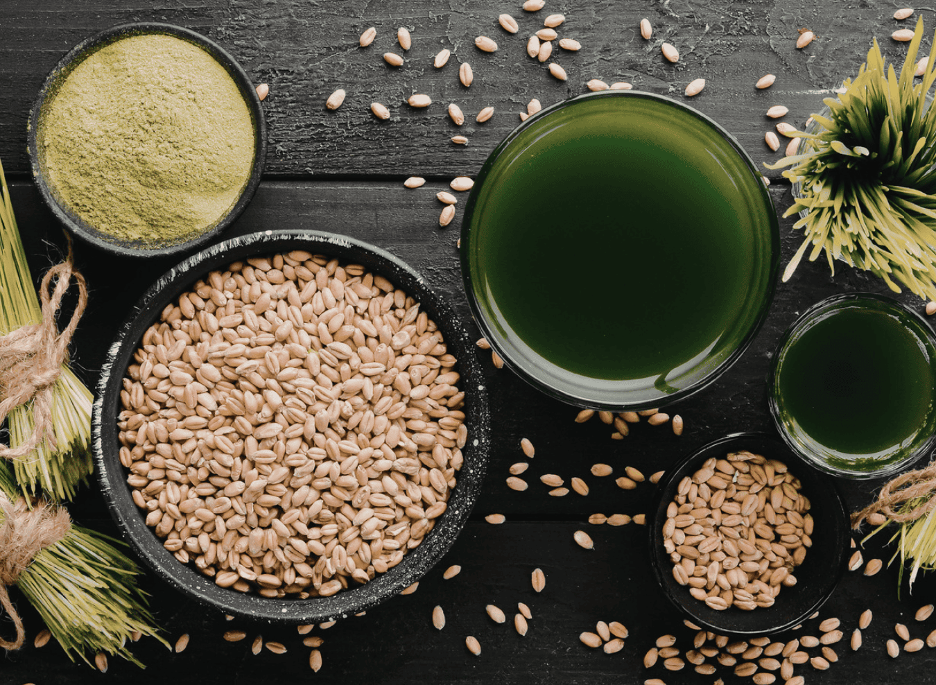 Βασιλειάδης Garden Center - Kατασκευή συντήρηση κήπων, φυτώριο, Θεσσαλονίκη Home - Κατασκευή κήπου Θεσσαλονίκη - Φυτώριο Θεσσαλονίκη - Συντήρηση κήπου 10 superfoods