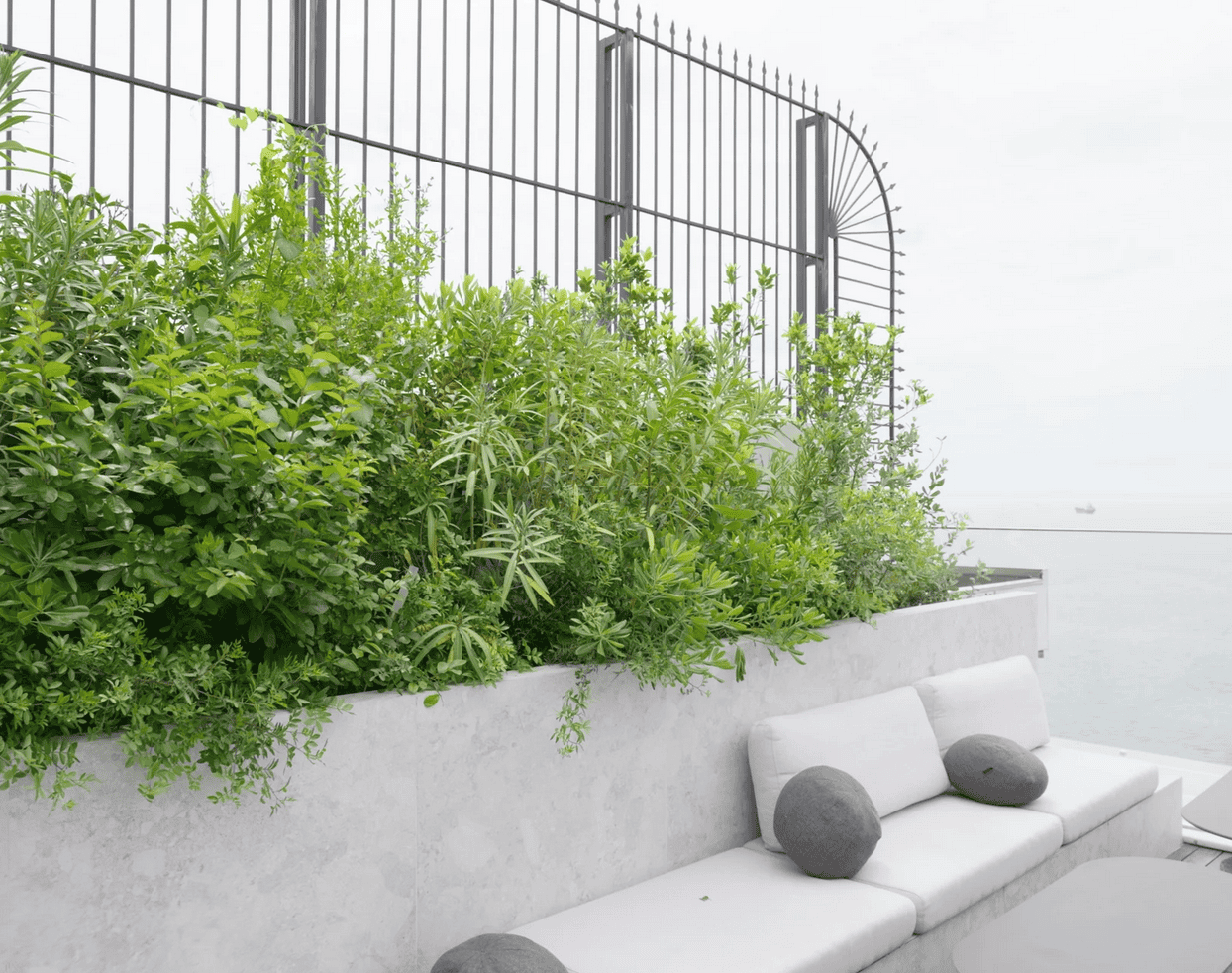 Βασιλειάδης Garden Center - Kατασκευή συντήρηση κήπων, φυτώριο, Θεσσαλονίκη Home - Κατασκευή κήπου Θεσσαλονίκη - Φυτώριο Θεσσαλονίκη - Συντήρηση κήπου 10 URBA JUNGLE