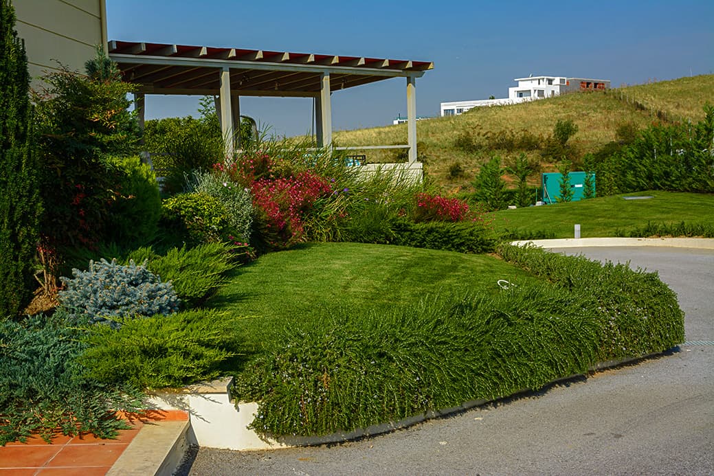 Φυτώρια Θεσσαλονίκη Φυτώρια Βασιλειάδη κατασκευή συντήρηση κήπων αρχιτεκτονική τοπίου garden center vasiliadi garden design garden care